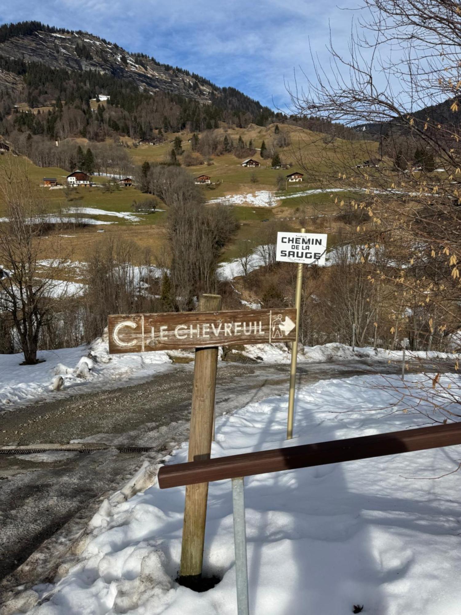 Piste Verte Flumet Bagian luar foto